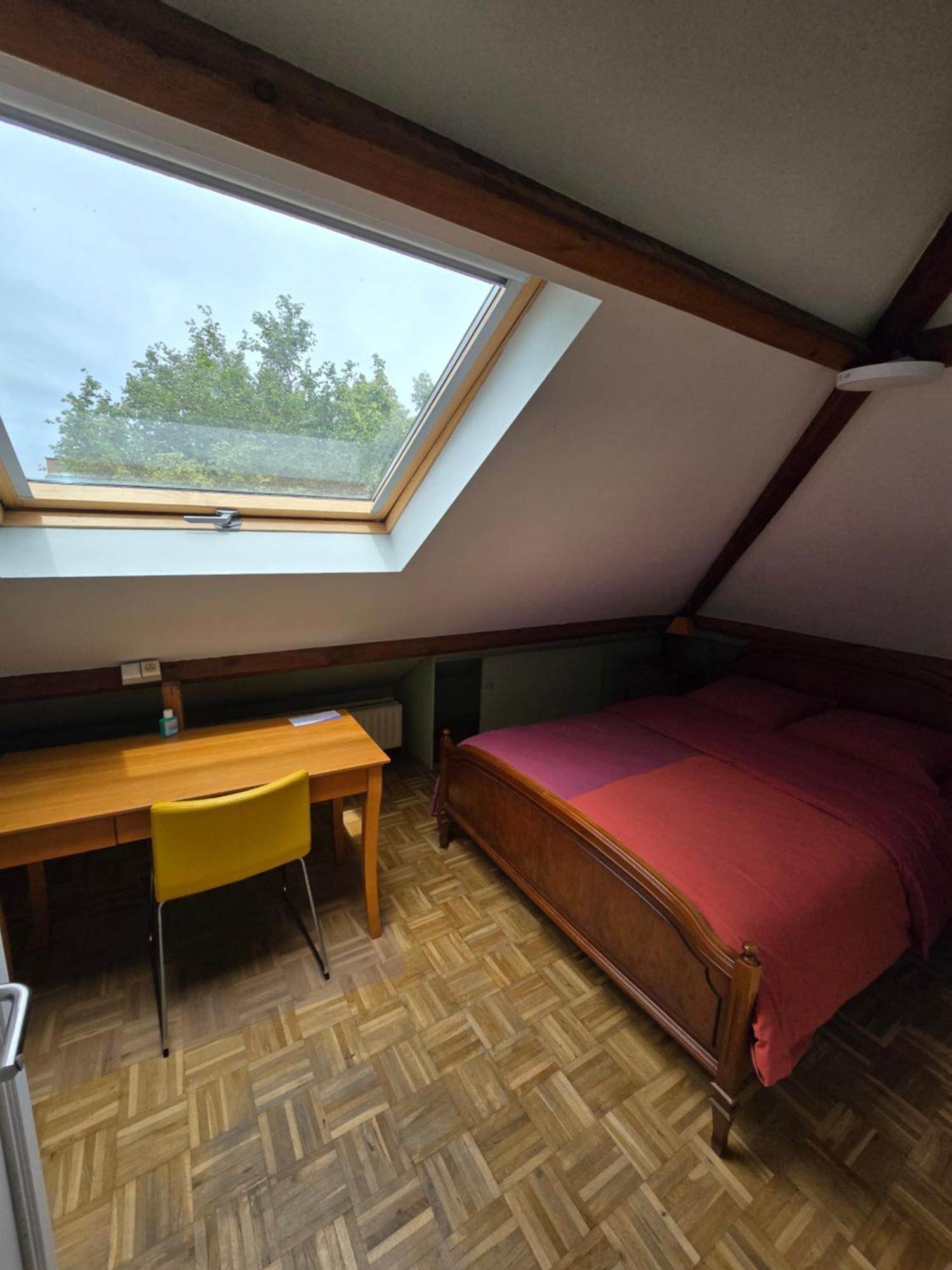 Fomed Homestay Brussels